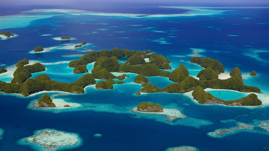 Solbari blog: Protecting our oceans from sunscreen chemicals: UPF 50+ sun protective clothing is the answer