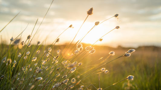 6 common sun protection misconceptions you should be aware of