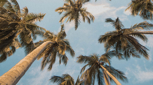 Solbari blog: 5 sun protection tips for this summer