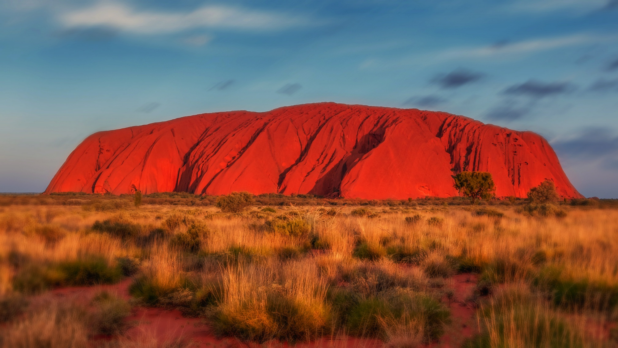 Facts & stats about skin cancer in Australia